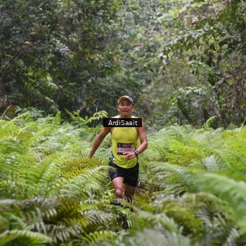 Runner Photo 8557285