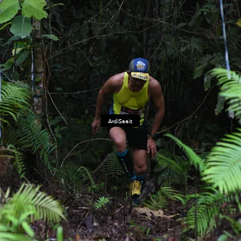 Runner Photo 8557296