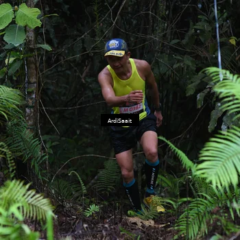 Runner Photo 8557299