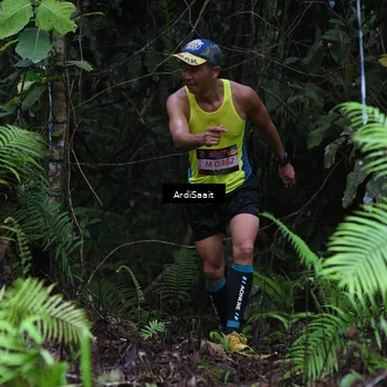 Runner Photo 8557301