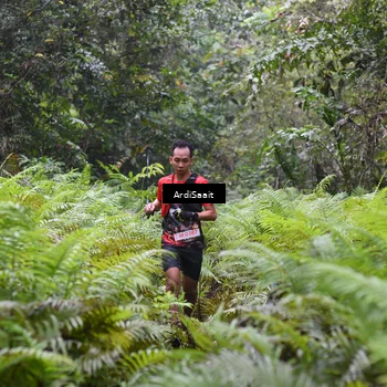 Runner Photo 8557313