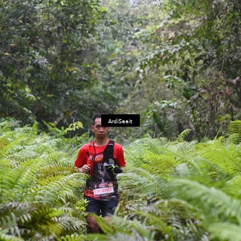 Runner Photo 8557314