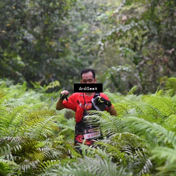 Runner Photo 8557317