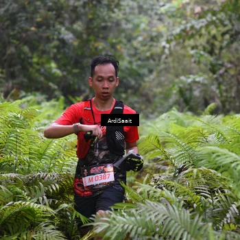 Runner Photo 8557329
