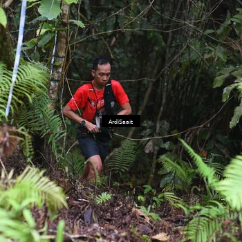 Runner Photo 8557331
