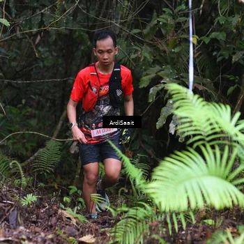 Runner Photo 8557333