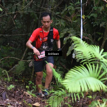 Runner Photo 8557334
