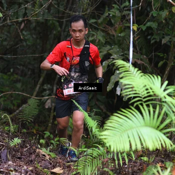 Runner Photo 8557336