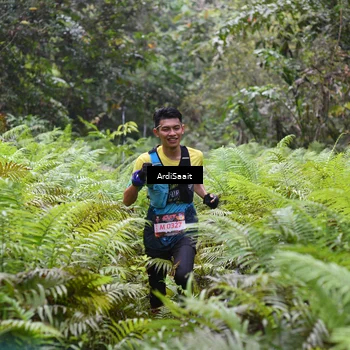 Runner Photo 8557350