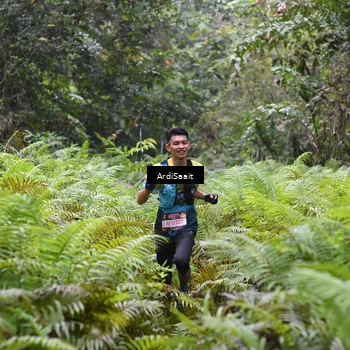 Runner Photo 8557353