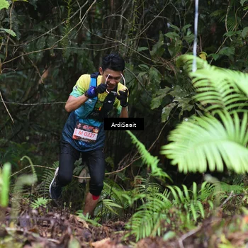 Runner Photo 8557367