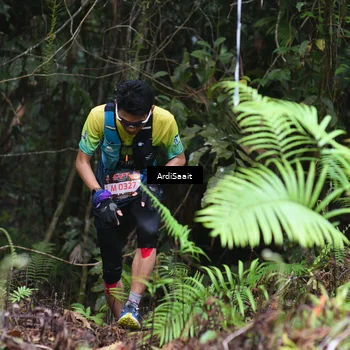 Runner Photo 8557370