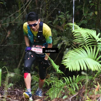 Runner Photo 8557372