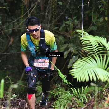 Runner Photo 8557373