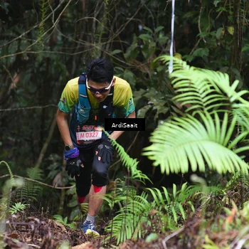 Runner Photo 8557374