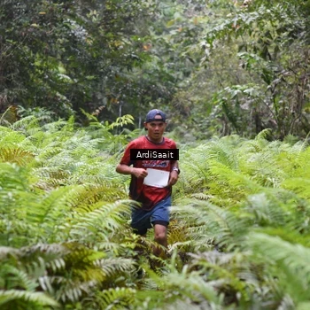 Runner Photo 8557382