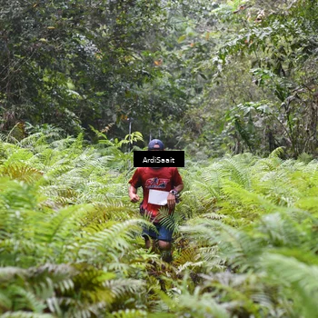 Runner Photo 8557383
