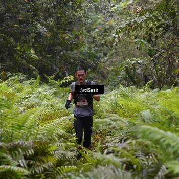 Runner Photo 8557406