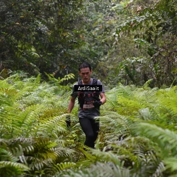 Runner Photo 8557411