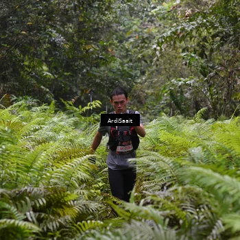 Runner Photo 8557413