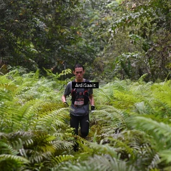 Runner Photo 8557418
