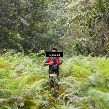 Runner Photo 8557441