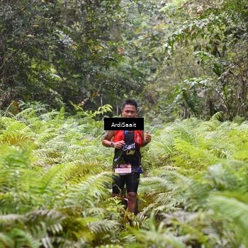 Runner Photo 8557444