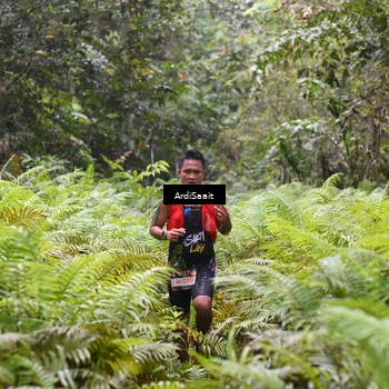 Runner Photo 8557446