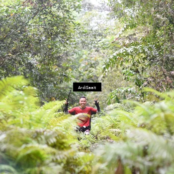 Runner Photo 8557475
