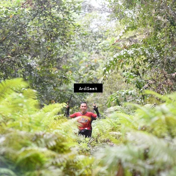 Runner Photo 8557476