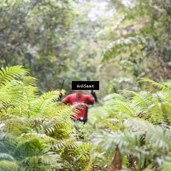 Runner Photo 8557477