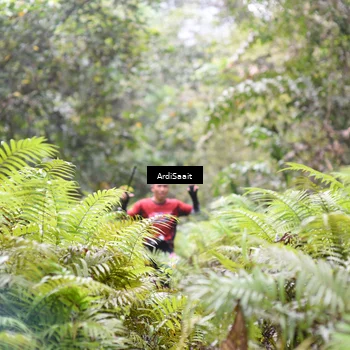 Runner Photo 8557478