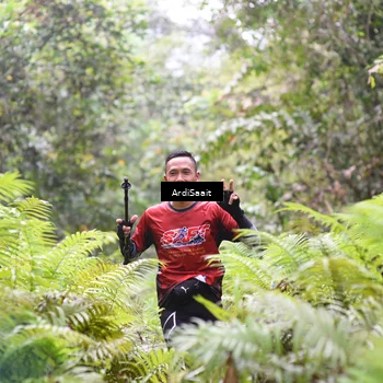 Runner Photo 8557483