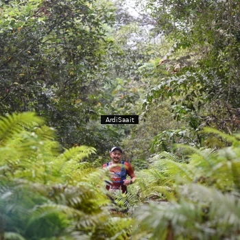 Runner Photo 8557500