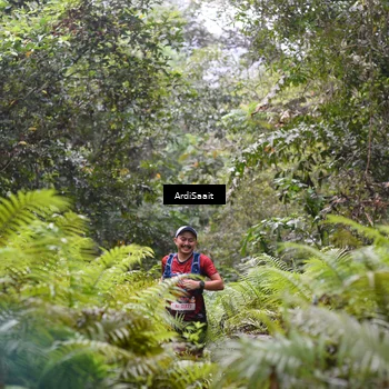Runner Photo 8557502