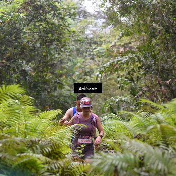 Runner Photo 8557582