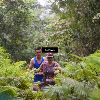 Runner Photo 8557597