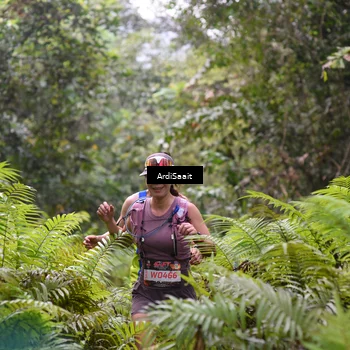 Runner Photo 8557598