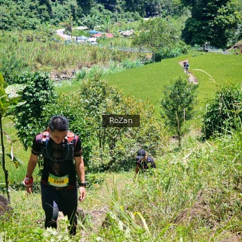 Runner Photo 85576
