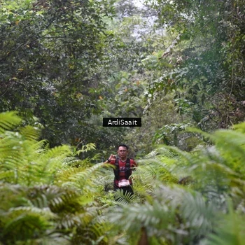 Runner Photo 8557651