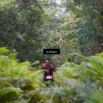 Runner Photo 8557662