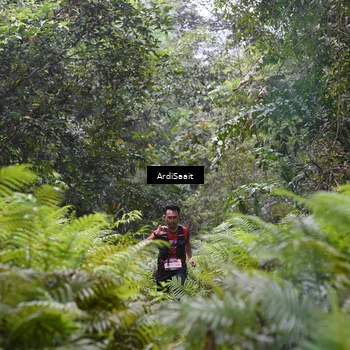 Runner Photo 8557666