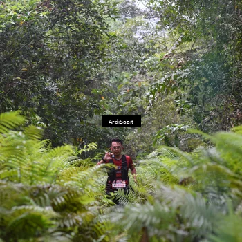 Runner Photo 8557670