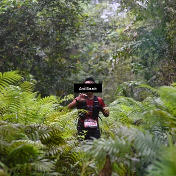 Runner Photo 8557681