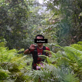 Runner Photo 8557701