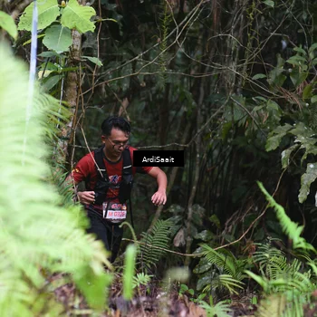 Runner Photo 8557719