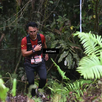 Runner Photo 8557728