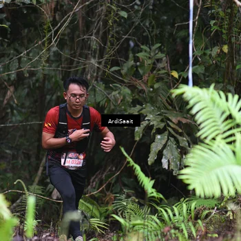 Runner Photo 8557730