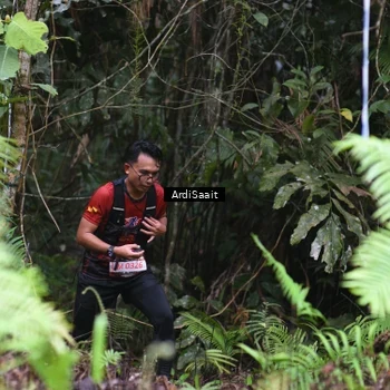 Runner Photo 8557768