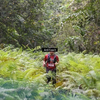 Runner Photo 8557775